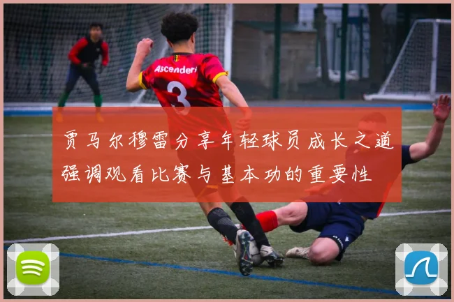 贾马尔穆雷分享年轻球员成长之道强调观看比赛与基本功的重要性