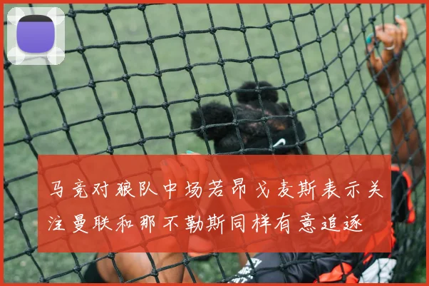 马竞对狼队中场若昂戈麦斯表示关注曼联和那不勒斯同样有意追逐