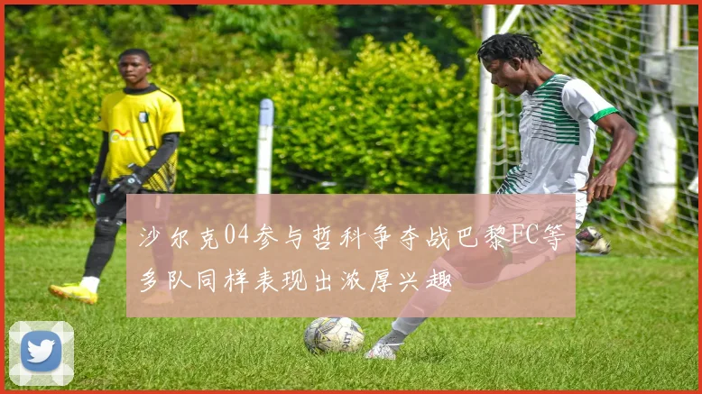 沙尔克04参与哲科争夺战巴黎FC等多队同样表现出浓厚兴趣